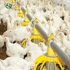 Cheap Price Poultry Farm Design Broiler Equipment Shed Automatic Feeder For Chicken