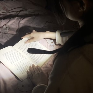 EGH Flexible Portable 800mAh Rechargeable 3 Color Dimmable Eye Caring Led Neck Reading Book Light