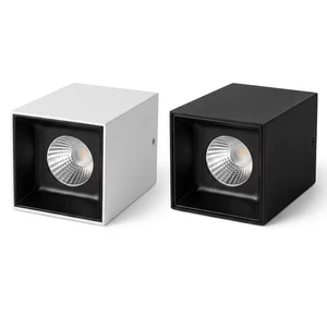 Anti-Glare 24W COB LED Surface Mounted Downlight High CRI 95 Aluminum Case AC220V PF 0.9 Ceiling Grille Spotlight