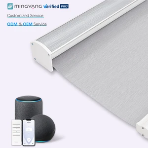 Home Alexa Smart Custom Electric WiFi Remote Control Roller Blinds Blackout Motorized Roller Shades For Bedroom