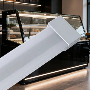Durable IP67 Rated 5-Year Warranty High-definition LED Light for Industrial Cold Storage Freezing Refrigeration Spaces Red Color
