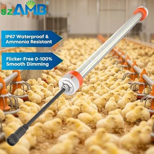 Chicken Lights Led Poultry Light IP67 Waterproof 9W-28W Pigstyf Arm Lights Full Spectrum 2700k-6500k Red Ra80 Dimmable