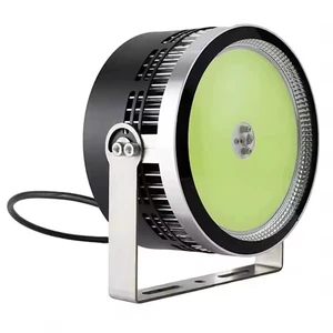 High Power LED Fishing Light Squid Lights 1000W Cyan Waterproof Tuna Fish Luring Lamp LED Fish Light Attracts for Night Boat