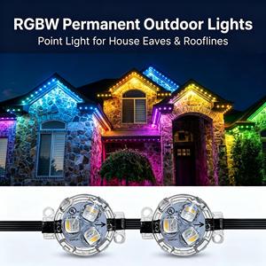 30mm Led Point Lights Permanent Lighting Ul Cul Outdoor Led Track Light 12v Permanent Exterior Rgbw Led Lighting System