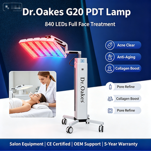 Led Pdt Machine Led Pdt Standing Light Facial Therapy 840pcs LED Pdt Photon Light Therapy