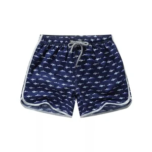 Beach Swimwear Men's Plus Size Swimming Shorts Quick Dry Print Cartoon Pattern Surfing Trunks