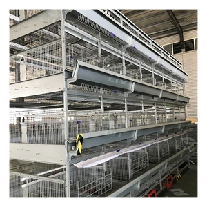 50000 Chicken House Poultry Farms Poultry Equipment In Ghana In Kzn