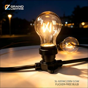 G55 4W Led Filament Bulb Decorative 110v 240v Custom Filament Bulb A60 Plastic Festoon Bulb Filament For Outerdoor String Light