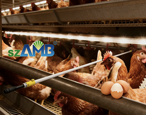 T5/T6 LED Tube 4FT 4W for Cage System IP67 Flicker-Free Chicken Light 5-Years Warranty