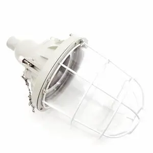 250W Explosion-proof Lights for Hazardous Areas in Zone 1 and 2 with 250W Halogen Bulb