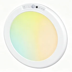 Rechargeable RGB Ambient Light Magnetic Motion Sensor Ceiling Lights with Remote Wireless Dimmable Closet Light Battery Operated