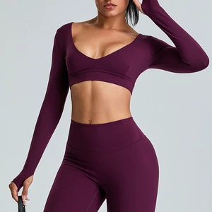 Wholesale High Quality Womens Gym Fitness Short Top Custom logo Fitness Yoga Long Sleeve