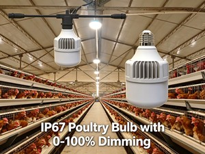 Chicken Light LED Poultry Farm 9W IP67 Flicker-free Red&White Switchable