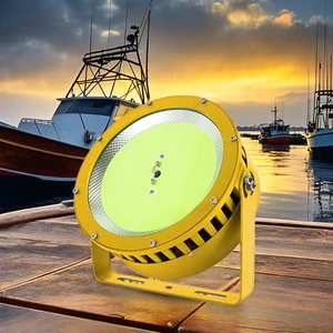 Custom 600W-1200W LED Fishing Lights for Fish Attracting Blue/Green IP66 100m Lighting Distance Direct From Factory