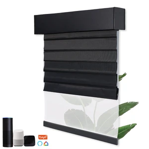 Double Layer Smart Motorized Roller Shades Day And Night Blackout For Window