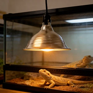 Infrared Heat Lamp For Chicken Chicks Poultry Piglet Reptile Pet Birds Farm Greenhouse