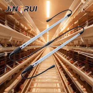 Ammonia Resistant T5 T8 LED Poultry Light IP67 Waterproof Tri-proof Sunset 16 Couleurs Lampes For Farm