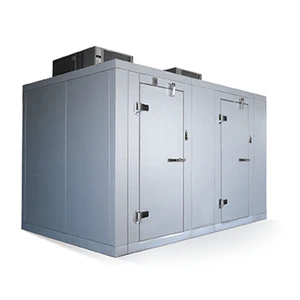 Walk In Cooler Combo Cold Chamber Cold Storage Freezer Room