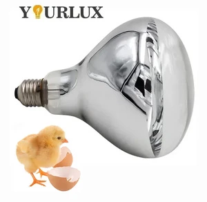 R80 R95 R125 100W 150W 250W Heat Infrared Light Bulb For Chicken Farm Poultry