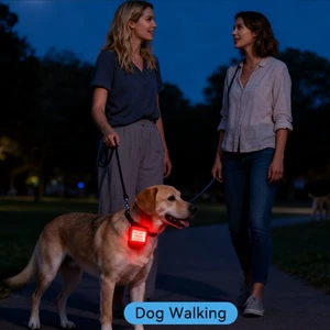 OEM Professional Rechargeable LED Night Safety Warning Light Mini Running Shoes Lights Magnet IP68 Rated Touch Control Running