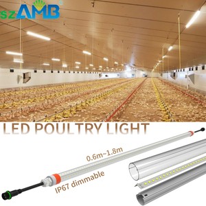 Led Poultry Light Warm White Led 2700k3000k /Red Switch IP67 Flicker Free poultry led light Chicken Coop Lighting