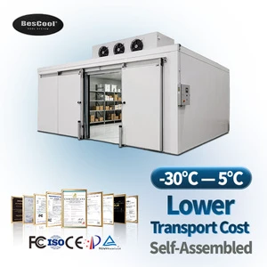 Aluminum Alloy Floor Walk in Freezer Cold Room With Ceiling Light for Meat Seafood Fish Frozen Storage Cold Room