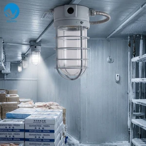CCD16 60W 220V Waterproof Marine Cold Storage Light Transparent Aluminium IP55 Rated CCS Certified