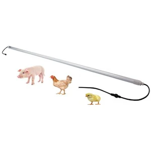 DC 48V T8 Flicker-Free Led Poultry Light Waterproof Ip67 IP65 Dimmable for Chicken Farm