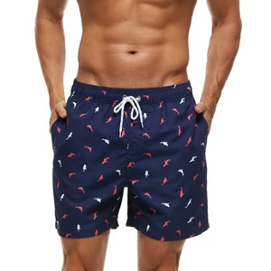 Men's Swim Trunks Quick Dry Summer Beach Shorts Swim Men's Shorts for Beach