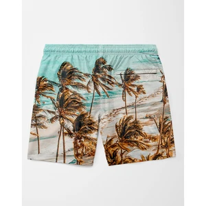 Beach Shorts