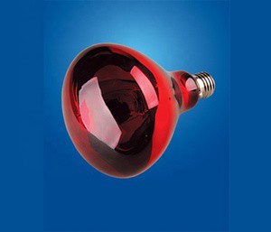 Hard Glass Infrared Ray Lamps(Red Coated) 200W/250W/500W