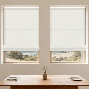 Double Layer Electric Blackout Smart Home Remote Control Shades Electric System Window Motorized Roman Blinds For Office Home