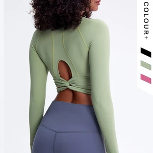Wholesale Breathable High Elastic Sports Top Long Sleeve Quick Dry Yoga Fitness Top