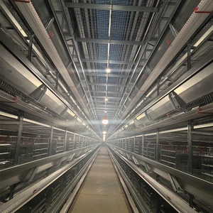 Anti-Flicker Poultry LED Lighting System with Copper Connectors Easy-Install Modular Farm Light for Chicken Houses
