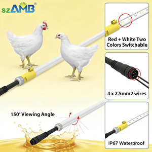 In Cage Poultry Barn Lighting T6 6ft 3W 4W DC48 IP67 Flicker-free 0-100% Dimming Red+White Switchable 5-Years Warranty
