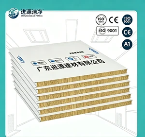Rock Wool Cleanroom Panel Heat Sound Insulation Class A Fireproof For Hospital Lab Sterile Interior Wall Panel