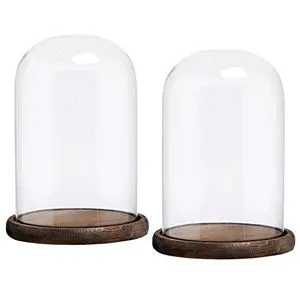 Glass Cloche Bell Jar Dome With Bamboo Wood Tray DIY Decorative Centerpiece Tabletop Glass Cloche Bell Jar Dome For Sale