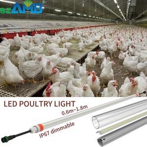 Chicken Light Led Tube for Chicken Professional Lighting IP67 Waterproof Light Poultry Lighting Pig Light Farm Light
