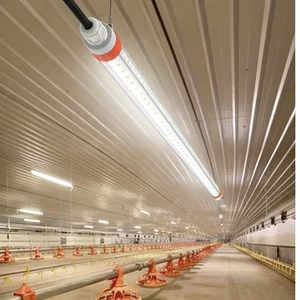 IP67 Waterproof 2700K-6500K LED Light Poultry Led Lighting 9/20/24/28W for Chicken Coop