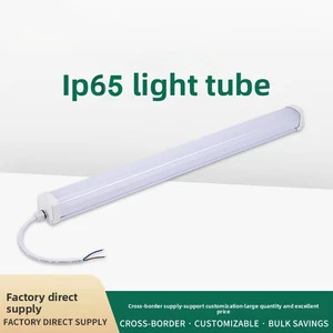 60 90 120 cm Factory-Customized IP65 LED Tube Light Tri-Proof Waterproof Dustproof for Cold Storage & Factory Buildings