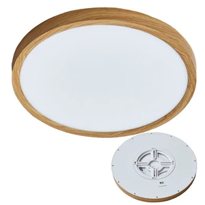 Super Slim House Lights Modern Indoor Ceiling Easy Set up Ceiling Light