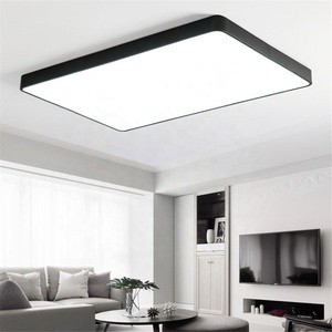 48W Personalized Lightning Design Modern Decorative Led Dinning Floating Fixture Light Ceiling Lights for Kids