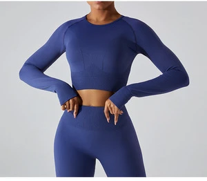 High Quality Women's Seamless Yoga Set Spandex Workout Tops with Solid Pattern Front Logo for Fitness Sports and Gym Clothing