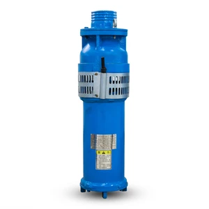 Garden Pond Submersible Pump Dancing Fountain Water Pump 200m Head 380V-660V 10-250m/h Stainless Steel Multistage