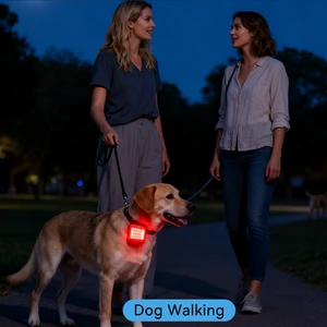 EGH Rechargeable LED Night Safety Warning Light Mini Running & Shoes Lights with Magnet for Runners
