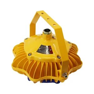 Led Aluminum Explosion Proof Light Lamp 100W Explosion-Proof LED Lamps with Aluminum & Glass Body IP66 & IP65