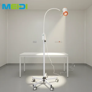 Hospital Dental Clinic Battery Operated Examination Light LED Flexible Arm Medical Lamp