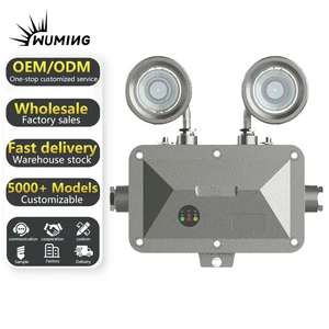 IP65 Cast Aluminum Dual-Head Emergency Light 2-3W Flameproof for Battery Manufacturing Workshops Explosion-Proof Safety Lighting