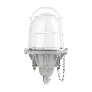 60W E27 IP65 Explosion-Proof LED Light for Oilfields Ex-proof Luminairs