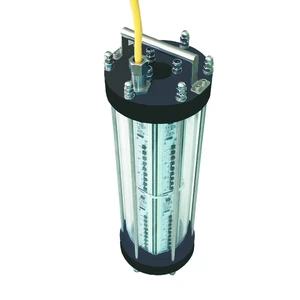 2000w Led Fishing Light Factory, 220v Ac Power Green Led Fishing Lamp Light, White Color Squid Fish Lighting